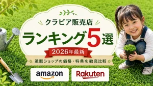 クラピア販売店ランキング５選